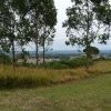 View from walking track facing Blue Mountains